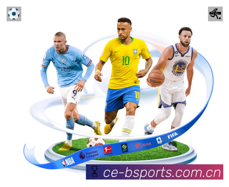 体育平台欢迎图